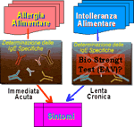 Le due diverse vie strategiche seguite dalla subdola intolleranza e dalla rabbiosa allergia