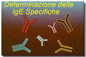ige1.jpg (11198 byte)