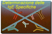 ige2.jpg (12682 byte)